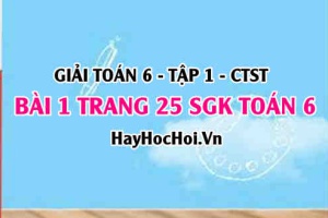 Giải bài 1 trang 25 Toán 6 Tập 1 SGK Chân trời sáng tạo